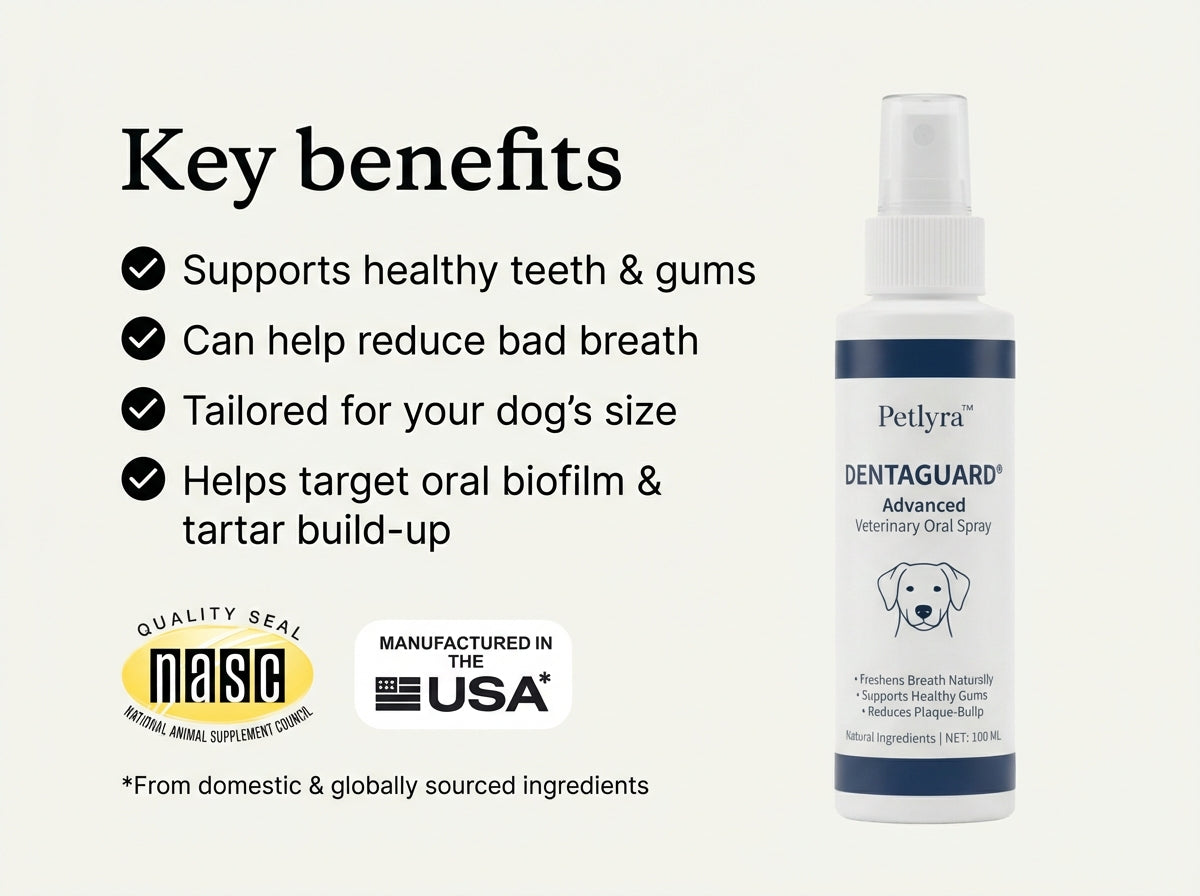 DentaGuard® - Advanced