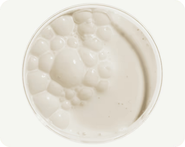A Proprietary Blend of Probiotics