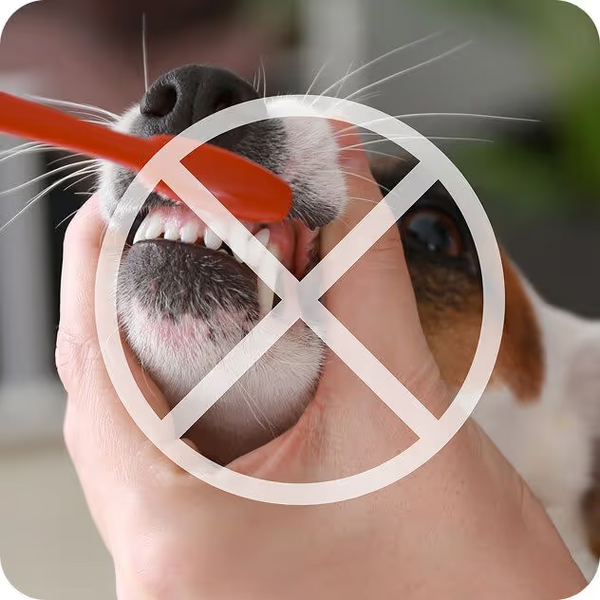 No Brushing Required